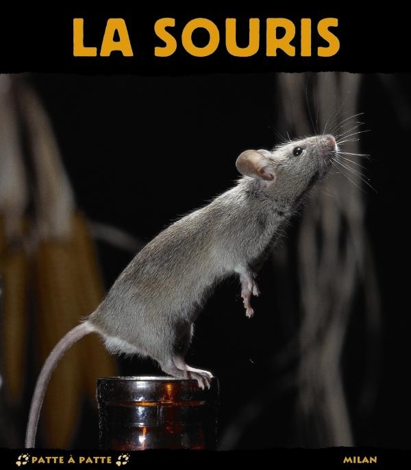 SOURIS
