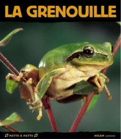 GRENOUILLE (NE)