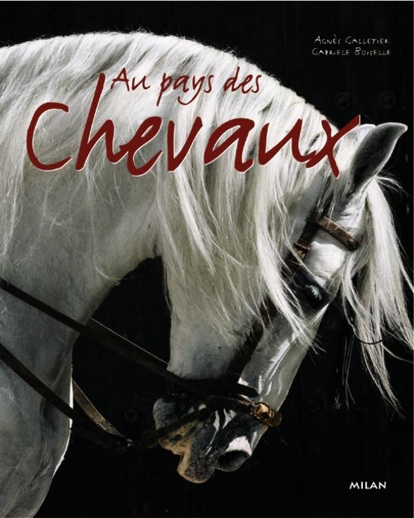 AU PAYS DES CHEVAUX