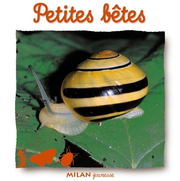 PETITES BETES