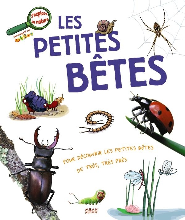PETITES BETES
