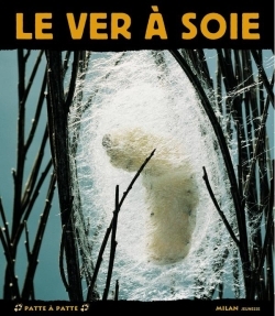 VER A SOIE
