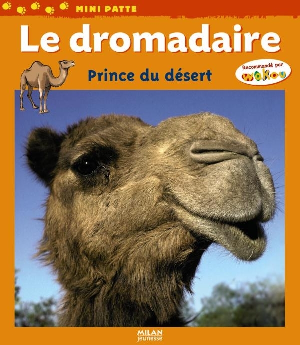DROMADAIRE