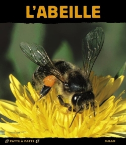 ABEILLE