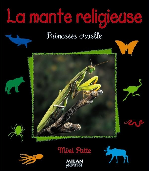 MANTE RELIGIEUSE