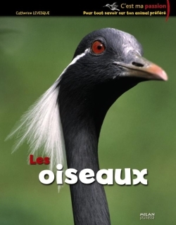 OISEAUX