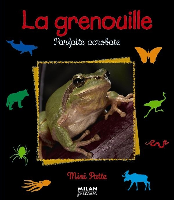 GRENOUILLE