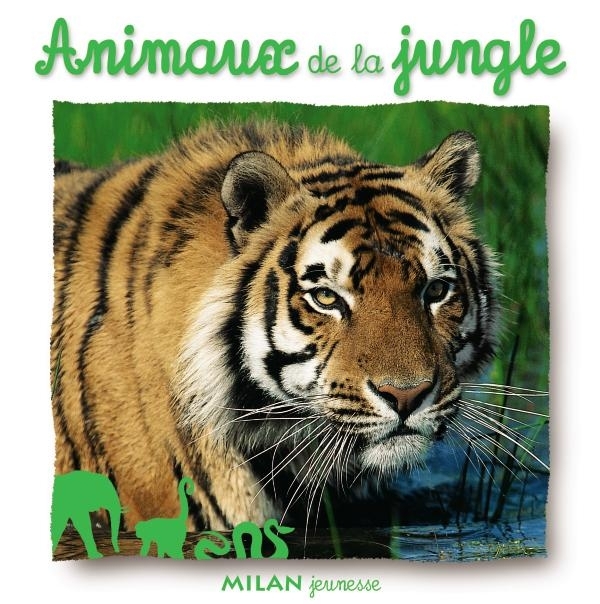 ANIMAUX DE LA JUNGLE