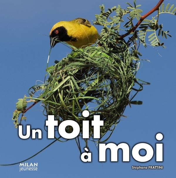 TOIT A MOI