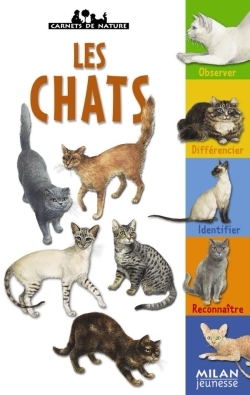 CHATS (NE)