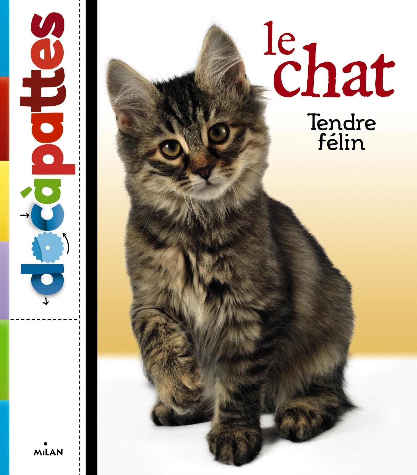 CHAT