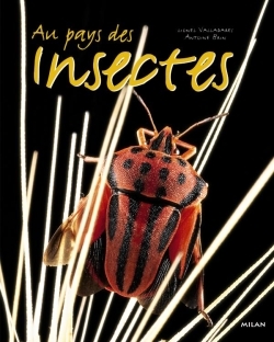 AU PAYS DES INSECTES
