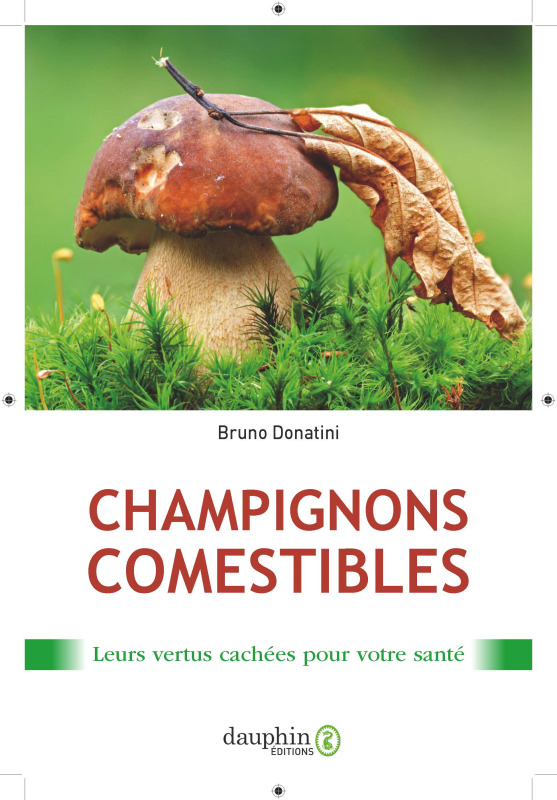 CHAMPIGNONS COMESTIBLES - LEURS VERTUS CACHEES POUR VOTRE SANTE