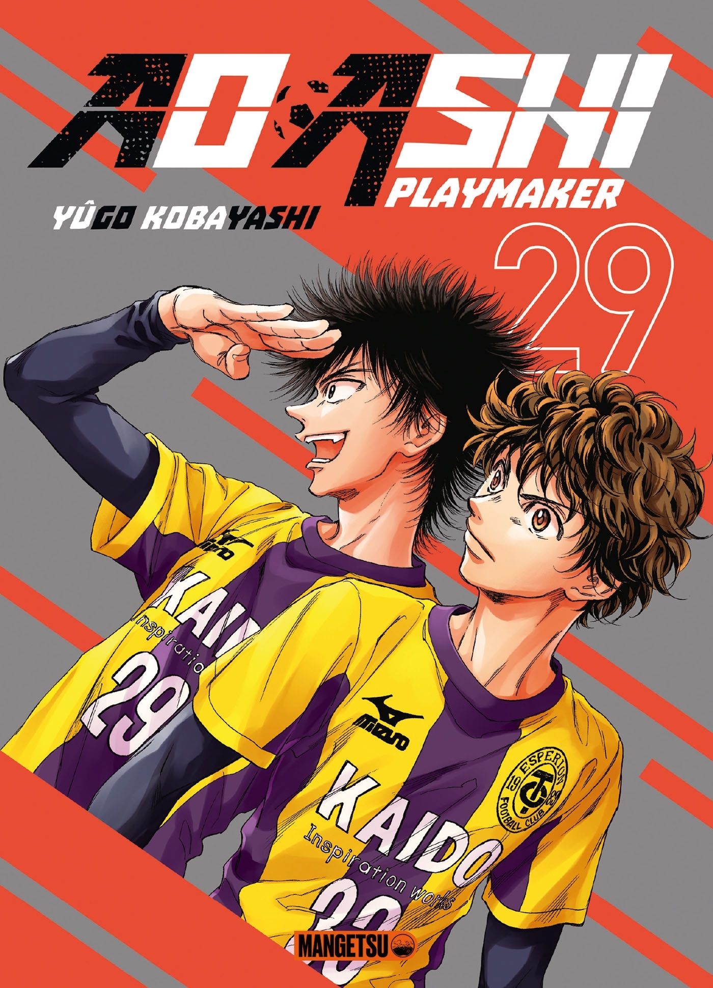 AO ASHI T29