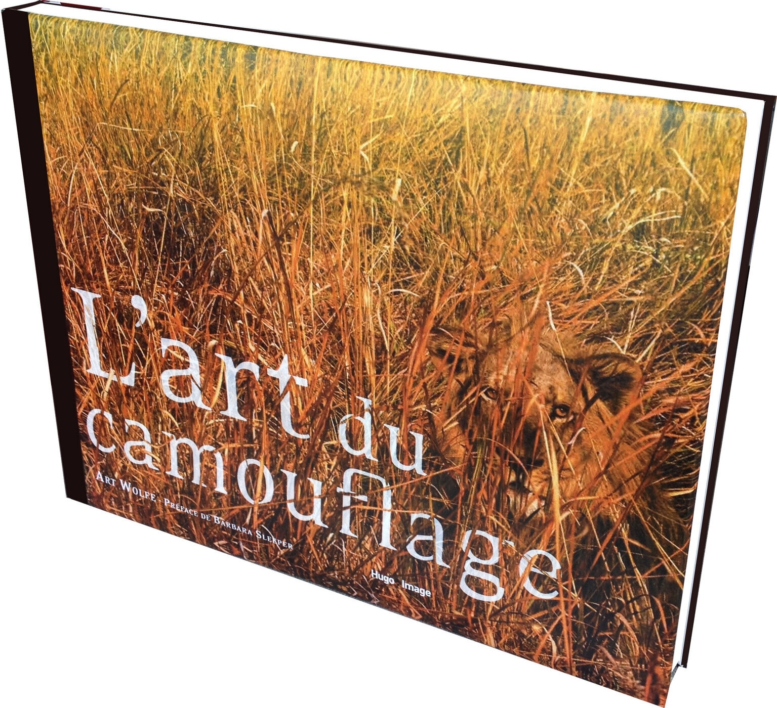 L´ART DU CAMOUFLAGE