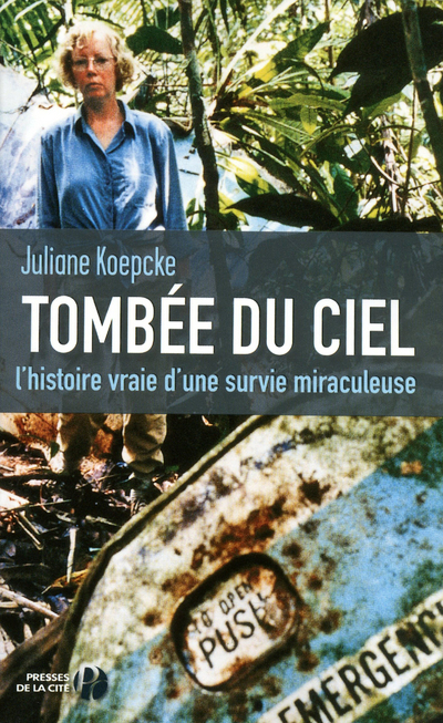 TOMBEE DU CIEL