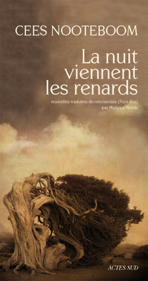 NUIT VIENNENT LES RENARDS