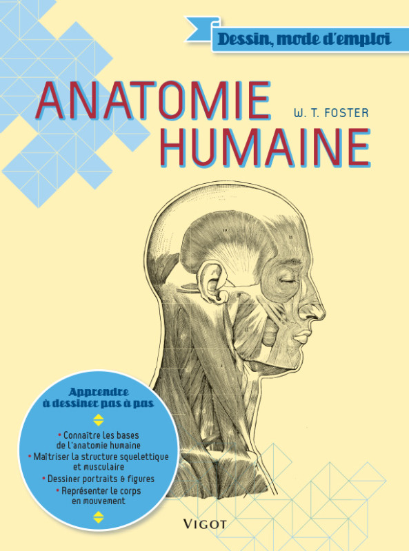 ANATOMIE HUMAINE