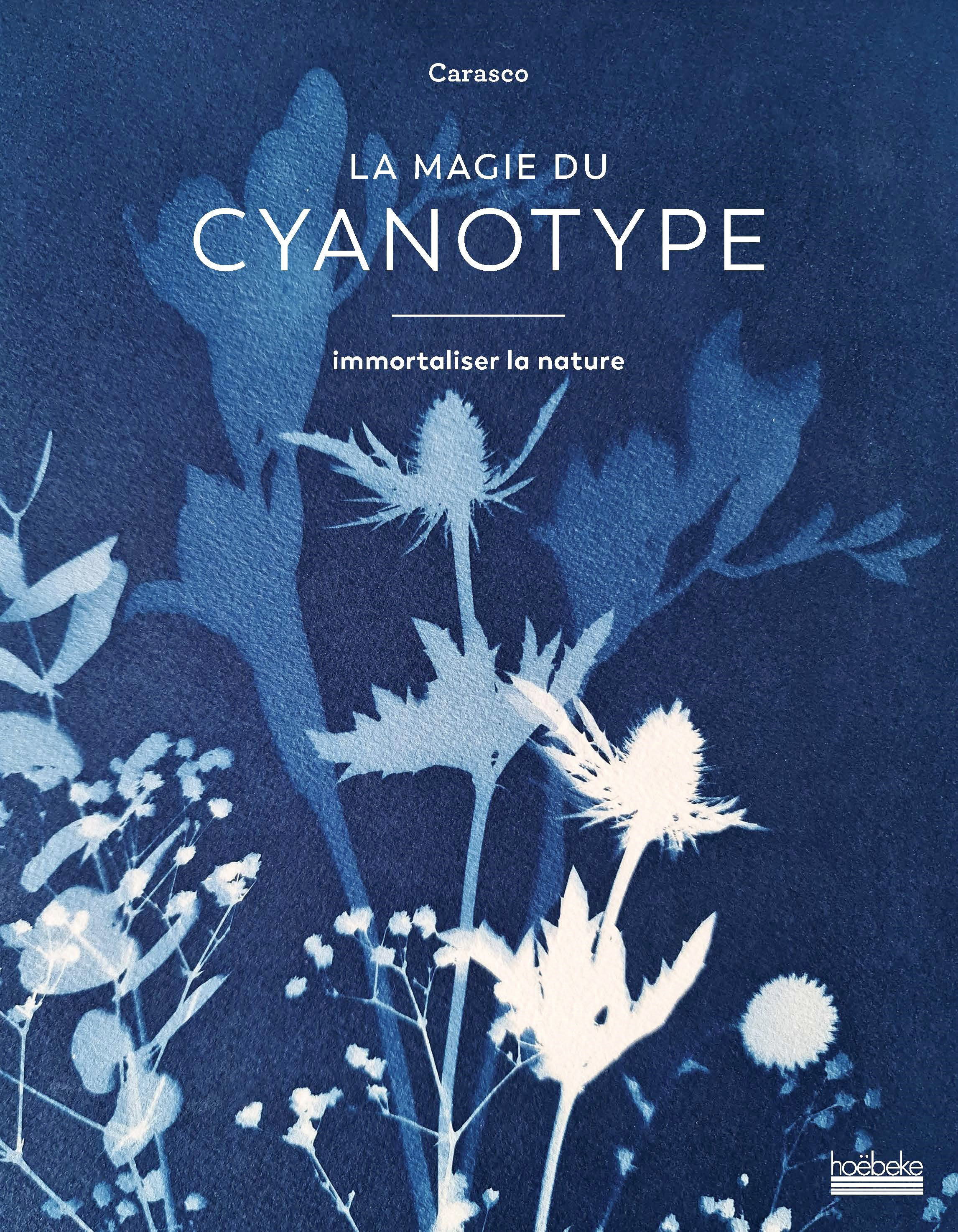 MAGIE DU CYANOTYPE - IMMORTALISER LA NATURE