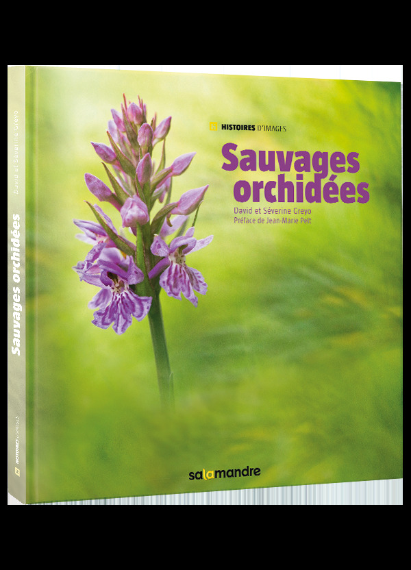 SAUVAGES ORCHIDEES