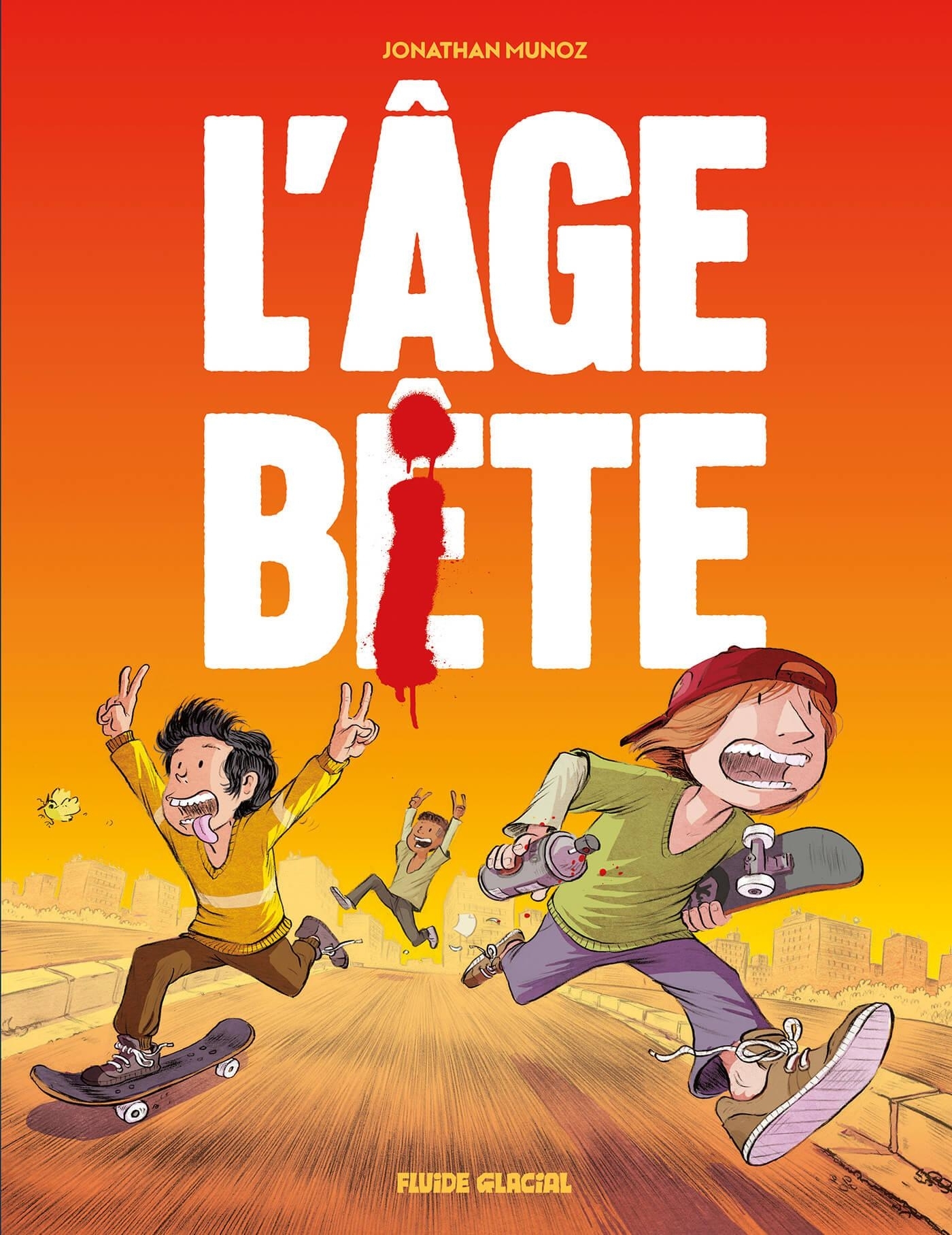 PETIT JOURNAL D´UN GROS FRAGILE - T01 - L´AGE BETE