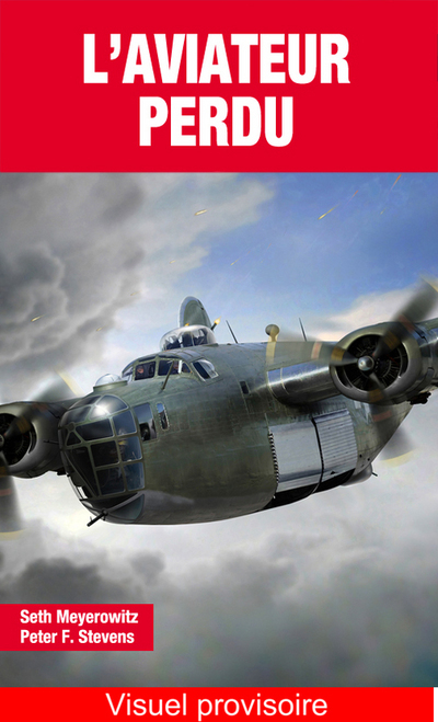 AVIATEUR PERDU (L´)