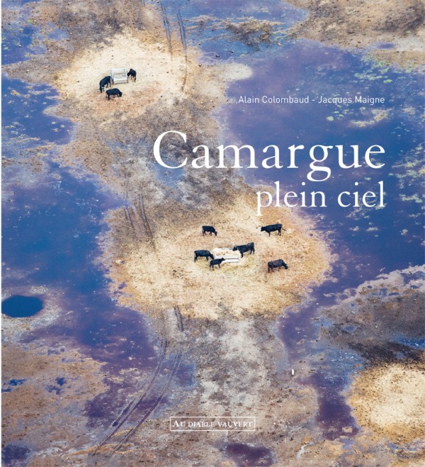 CAMARGUE PLEIN CIEL