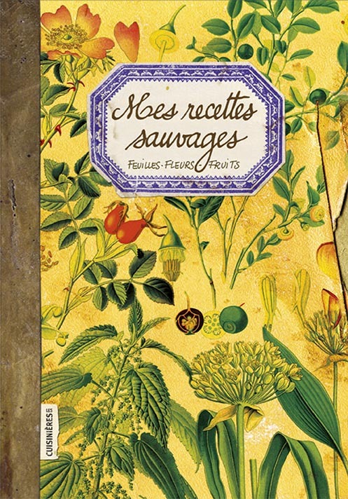 MES RECETTES SAUVAGES FEUILLES FLEURS FRUITS