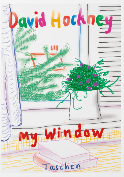 DAVID HOCKNEY - MY WINDOW