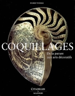 COQUILLAGES DECORS ET OBJETS