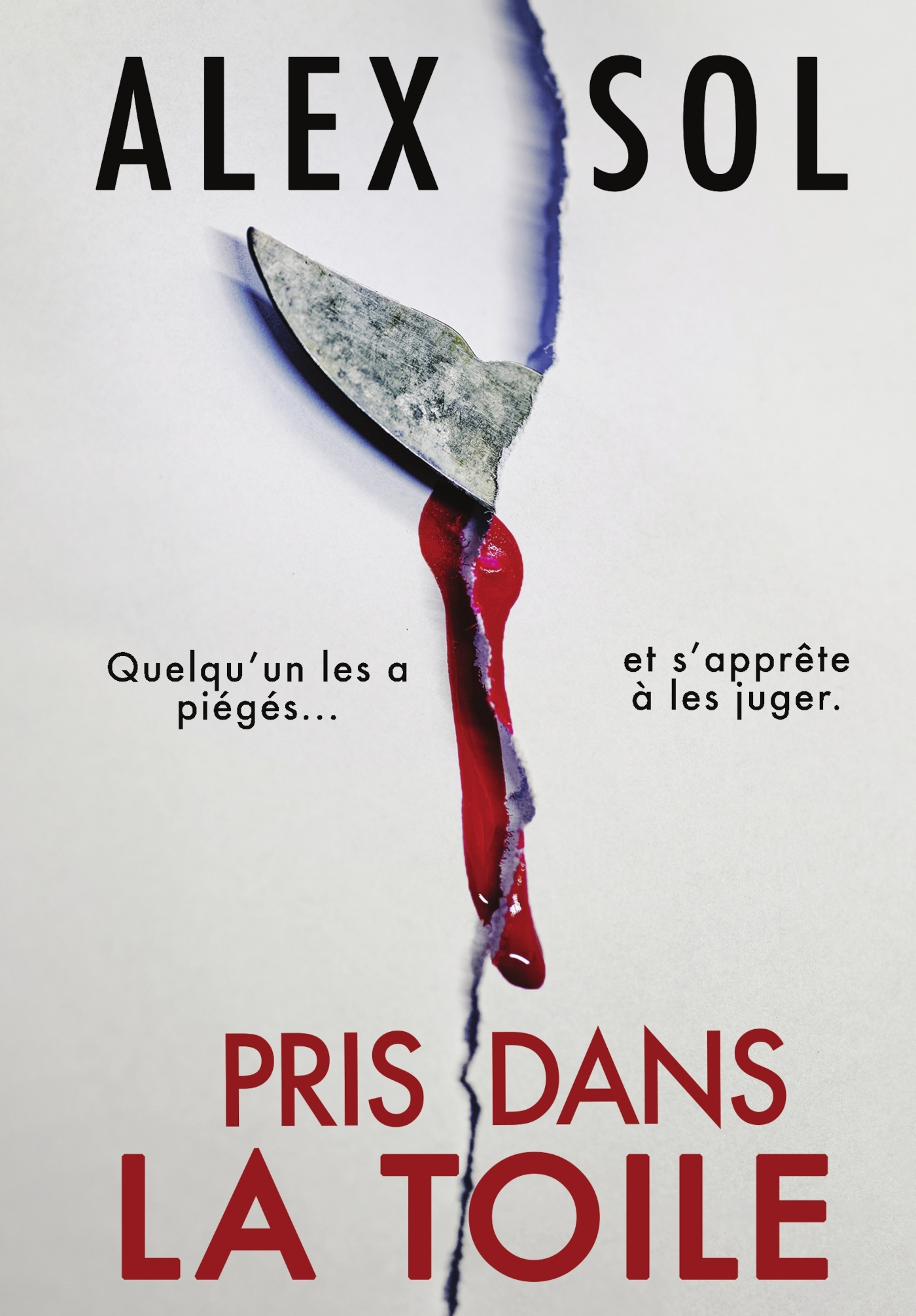 PRIS DANS LA TOILE