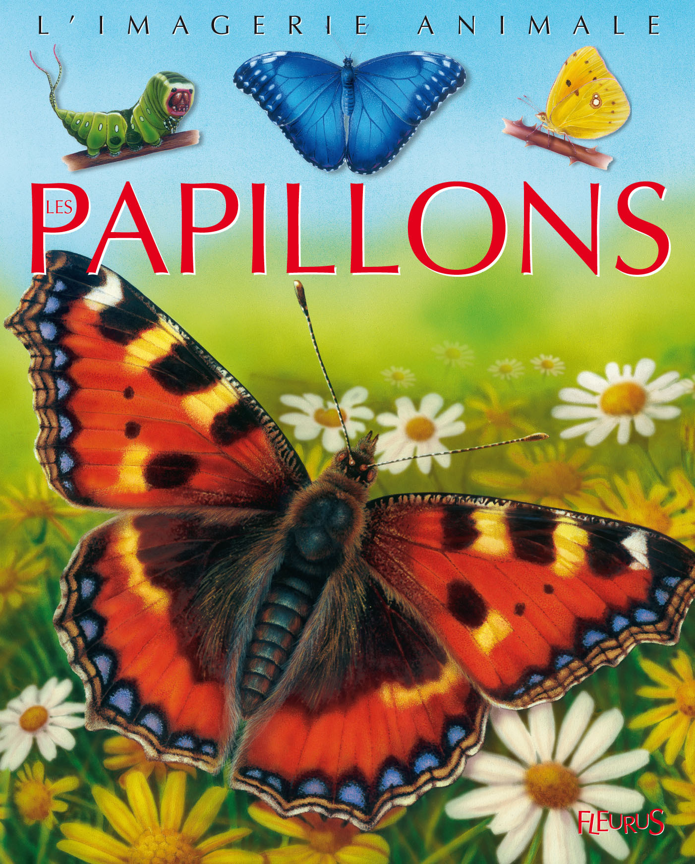 PAPILLONS (LES) GRANDE IMAGERIE
