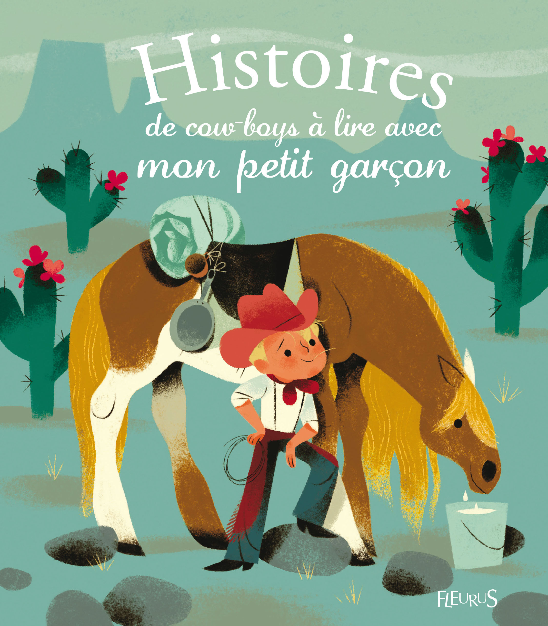 HISTOIRES DE COW-BOYS A LIRE AVEC MON PETIT GARCON