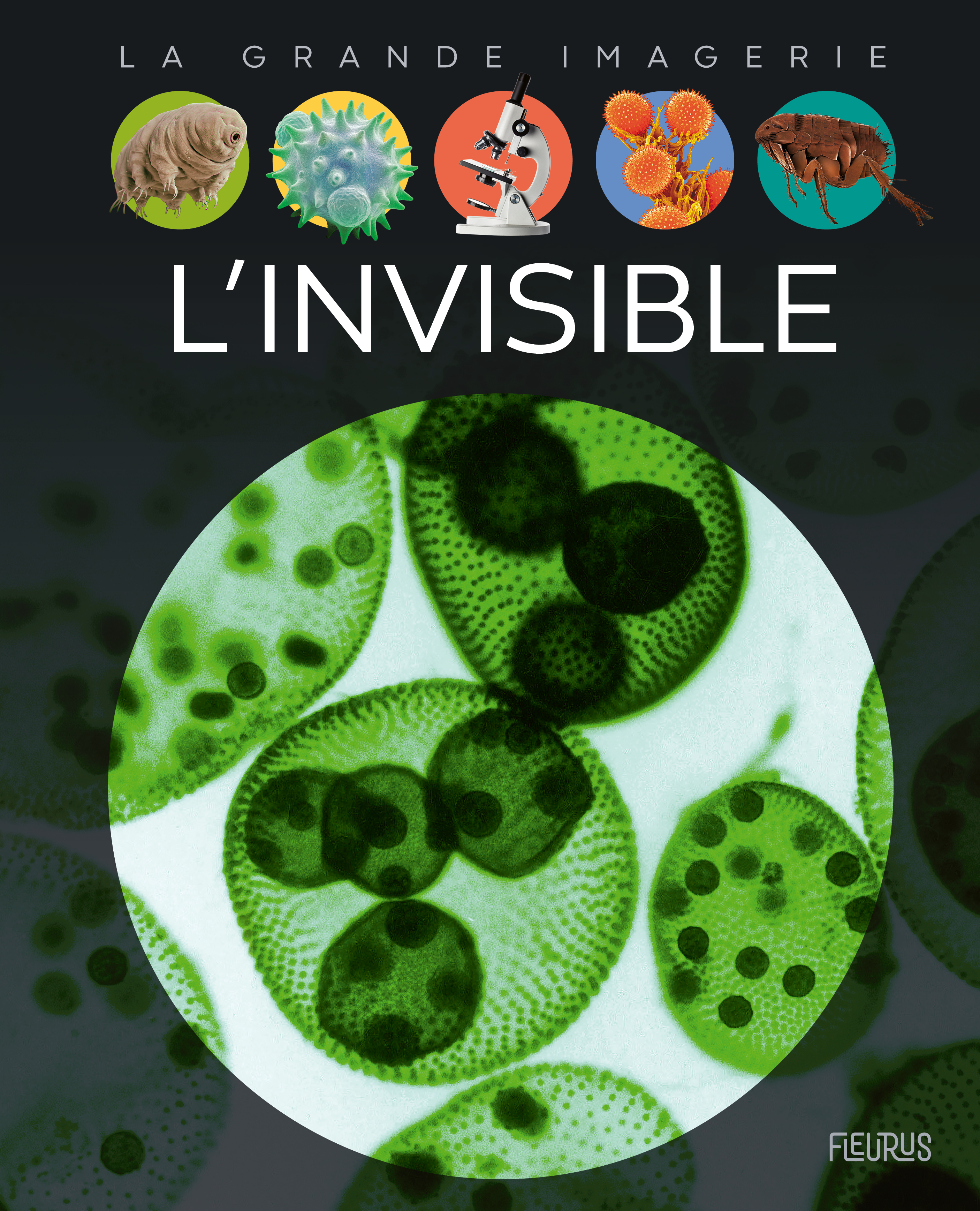 L´INVISIBLE - GRANDE IMAGERIE