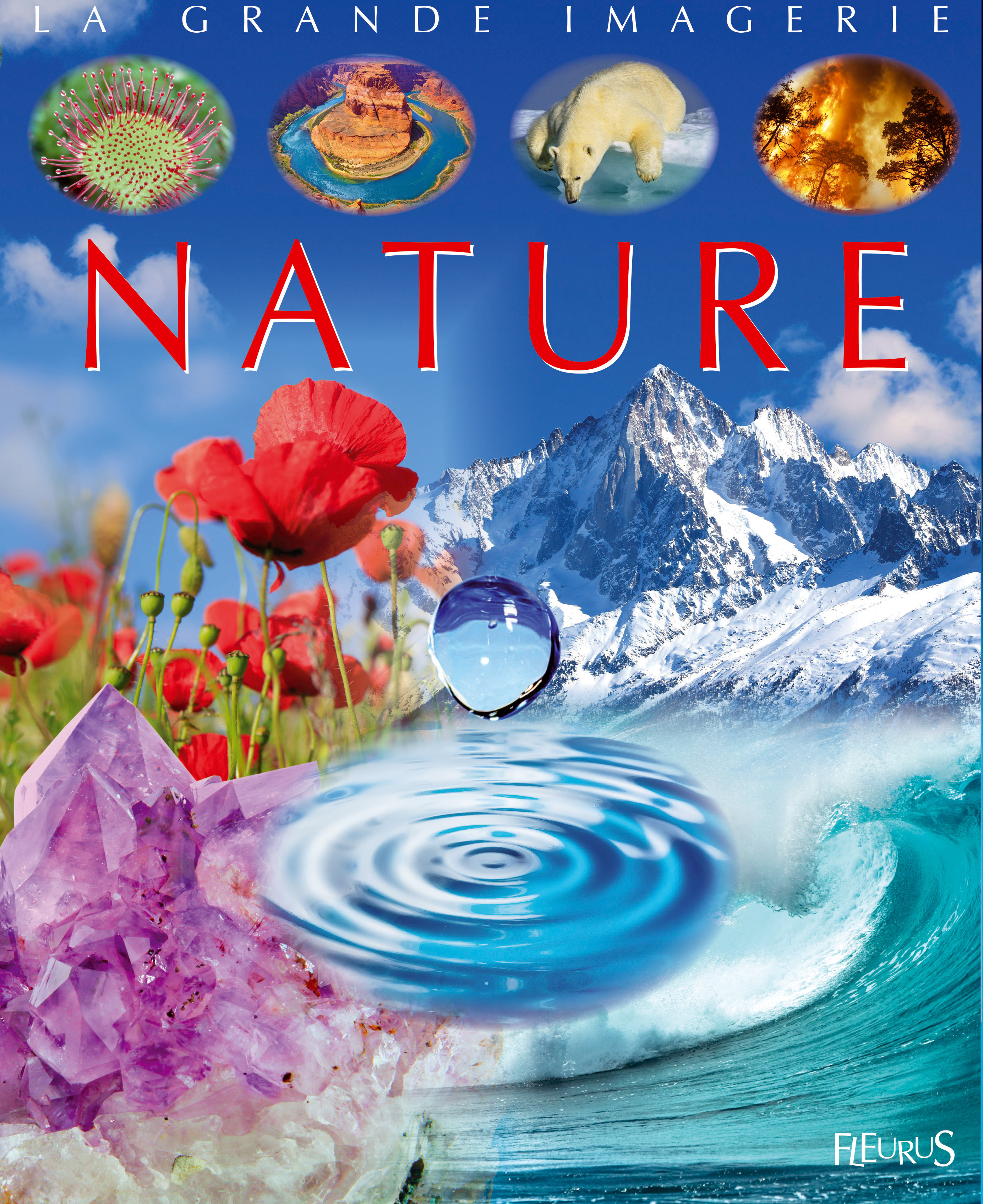NATURE - COMPIL GRANDE IMAGERIE