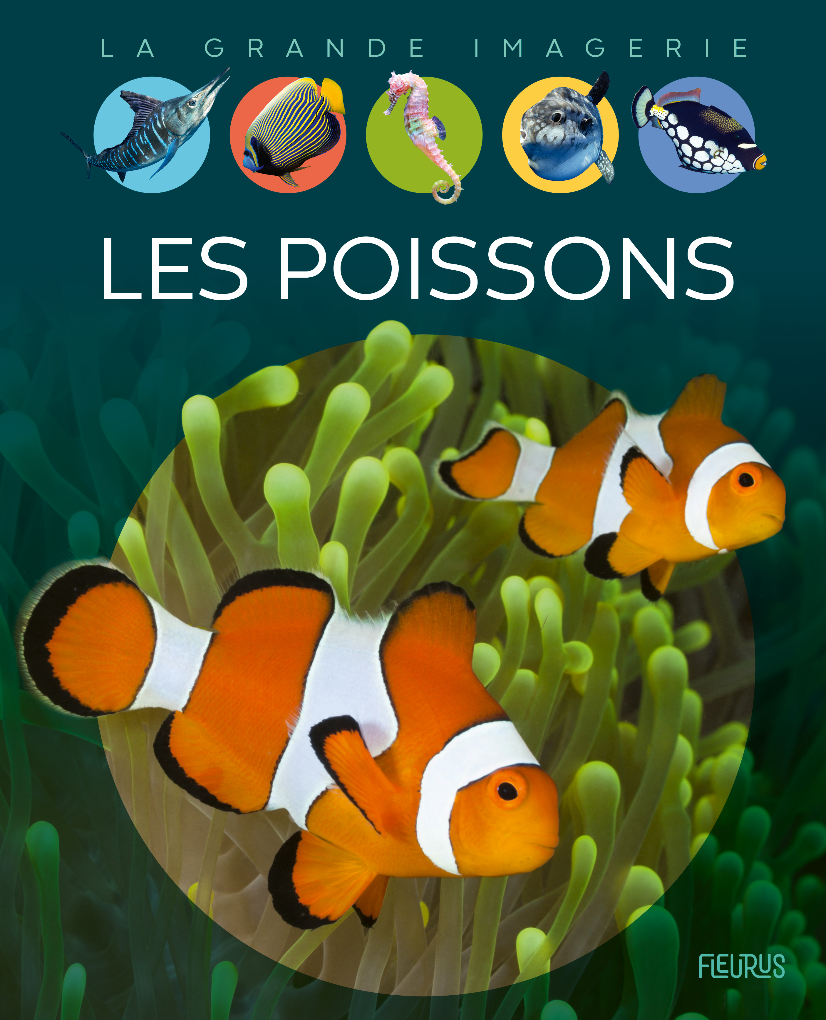 POISSONS - GRANDE IMAGERIE