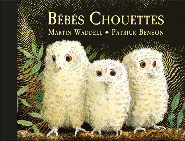 BEBES CHOUETTES