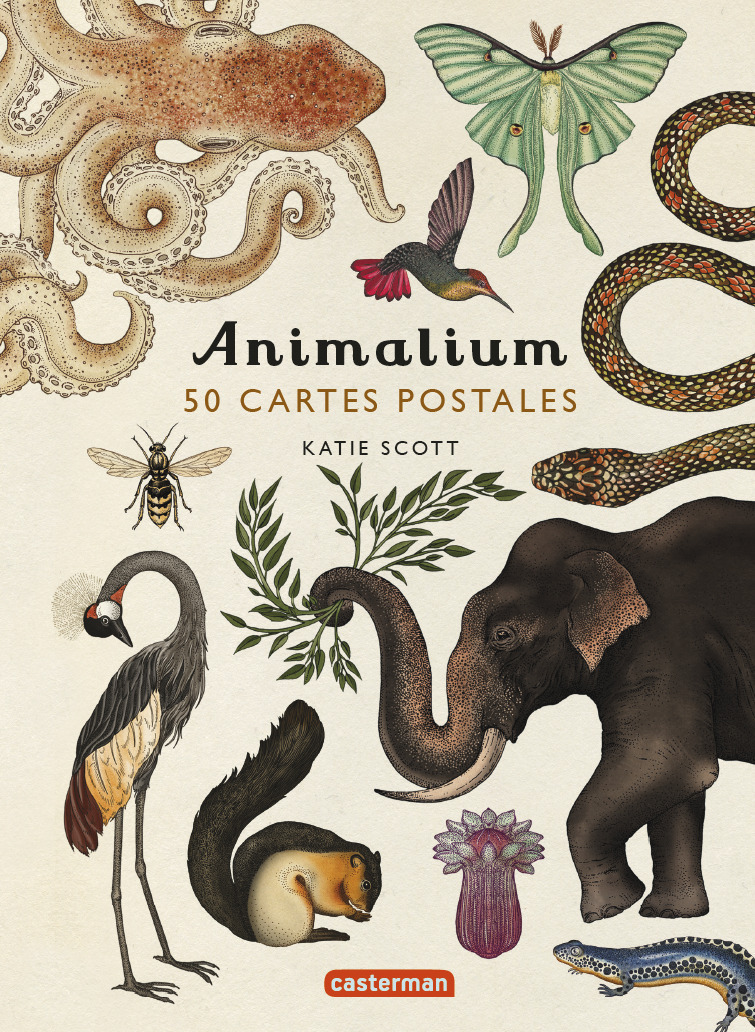 ANIMALIUM - 50 CARTES POSTALES