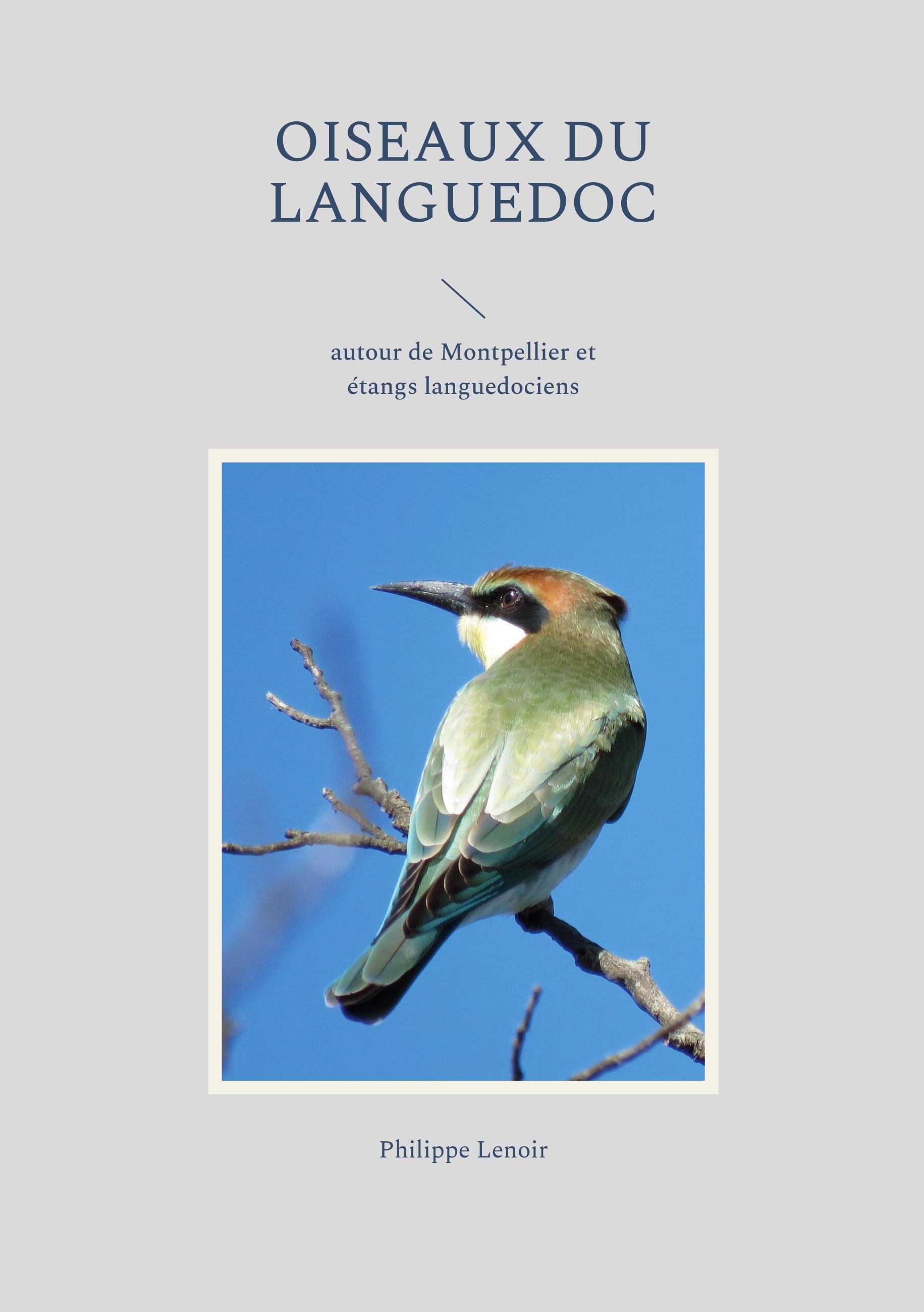 OISEAUX DU LANGUEDOC - AUTOUR DE MONTPELLIER ET ETANGS LANGUEDOCIENS - ILLU