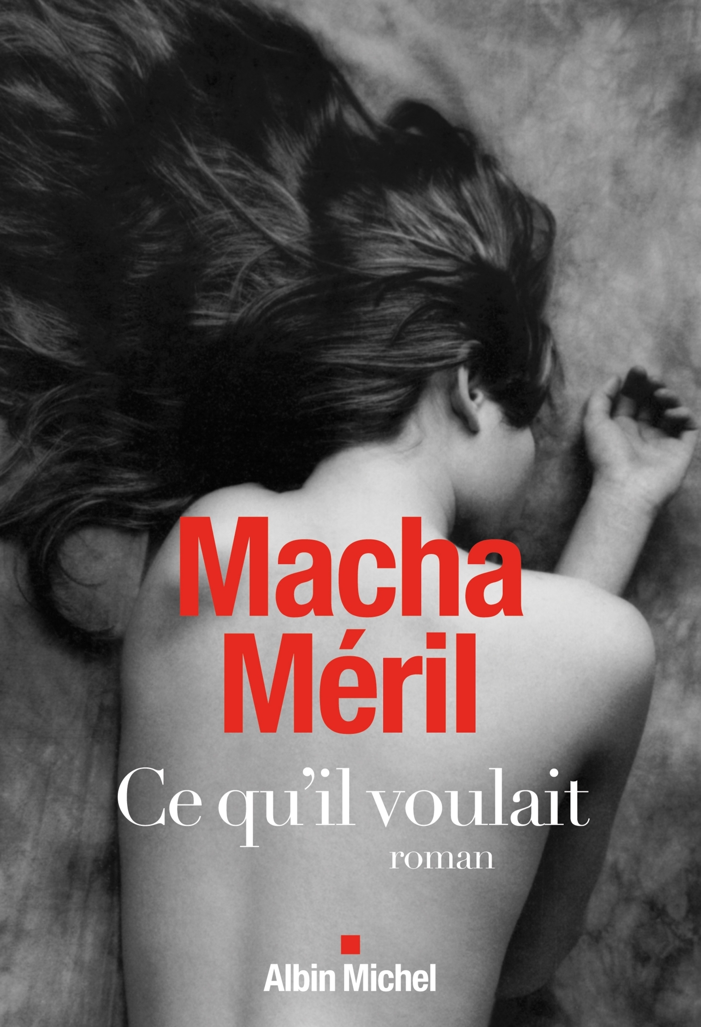 CE QU´IL VOULAIT