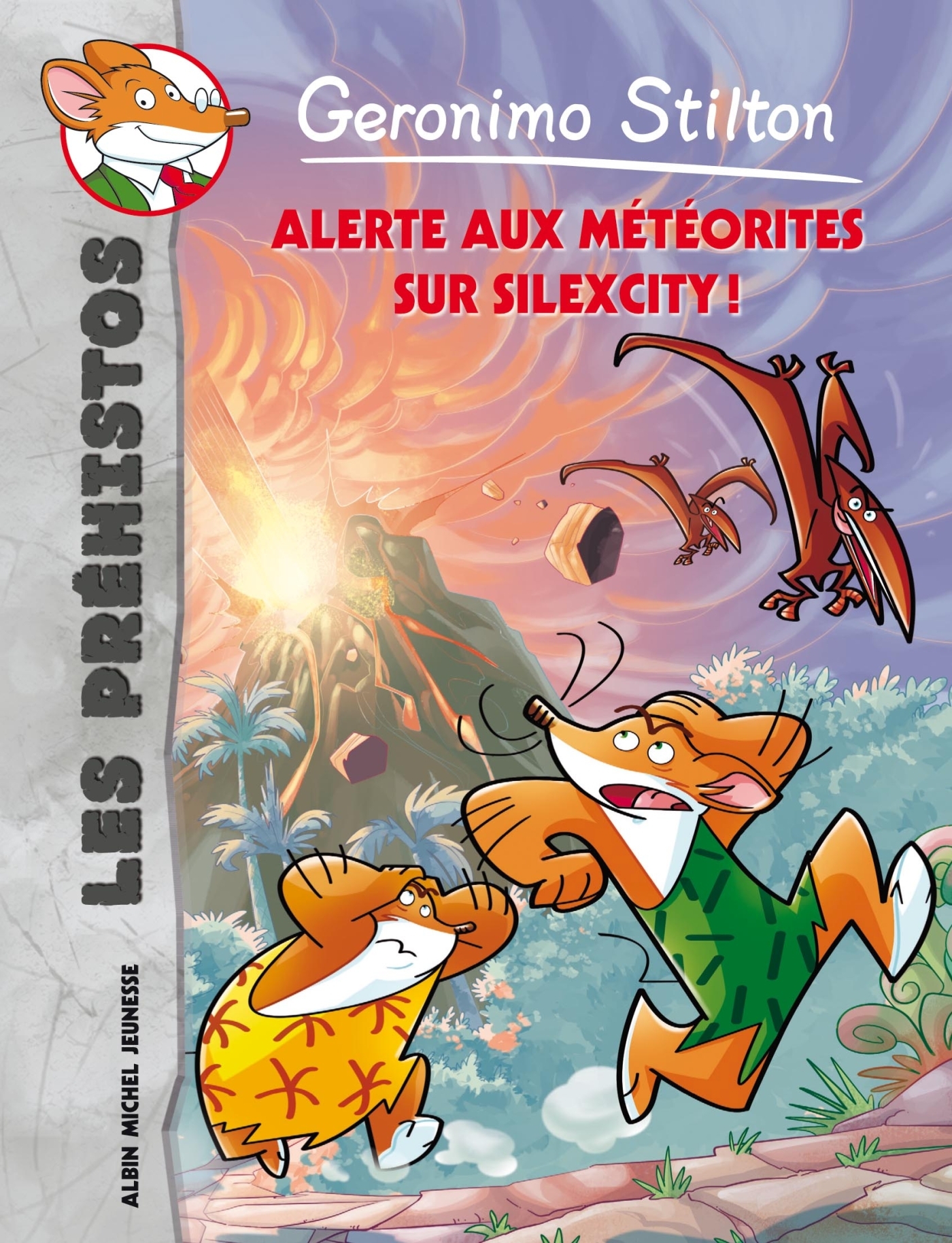 ALERTE AUX METEORITES SUR SILEXCITY ! N 2