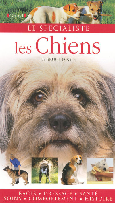 CHIENS