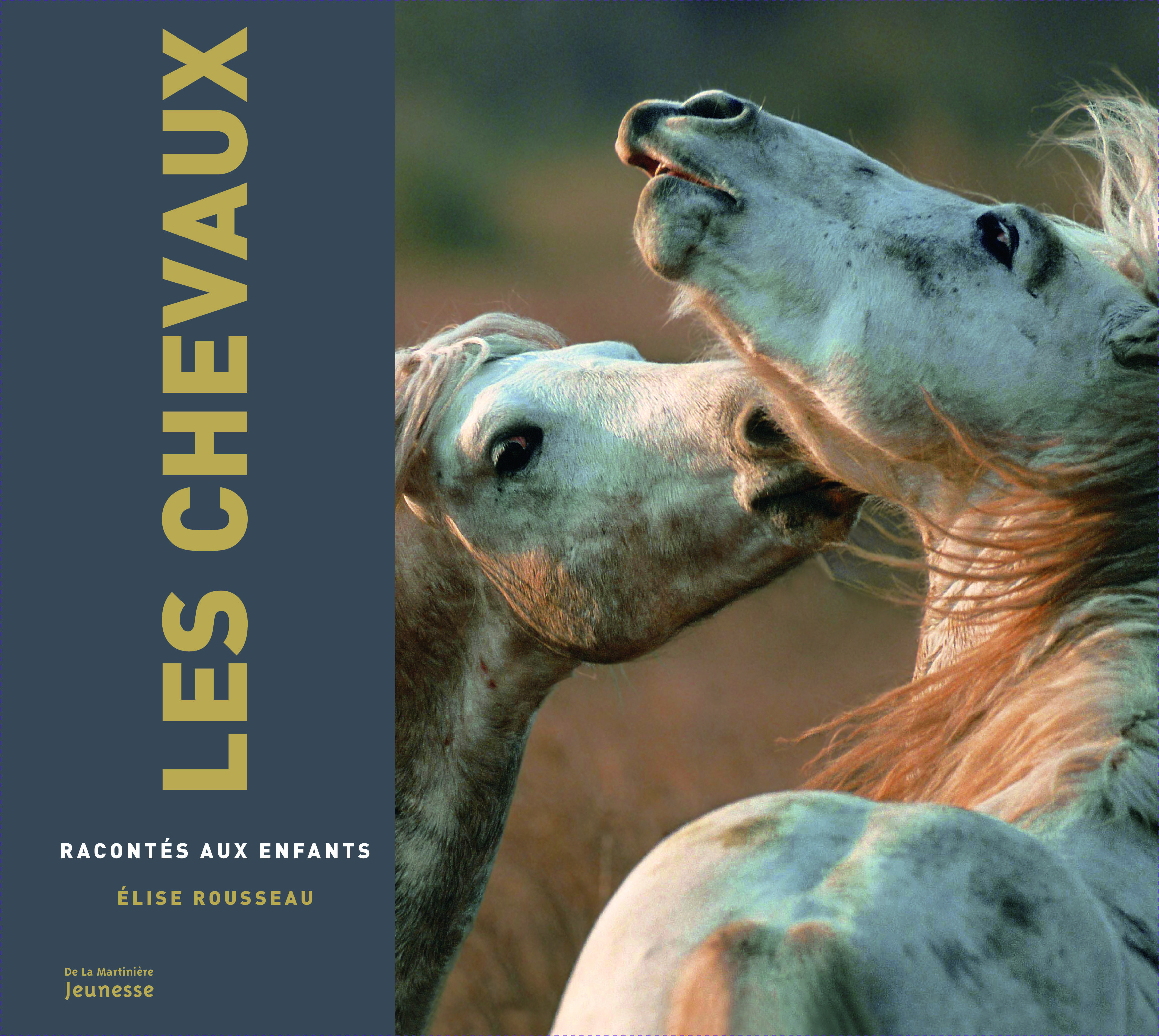 CHEVAUX RACONTES AUX ENFANTS (NE) (LES)
