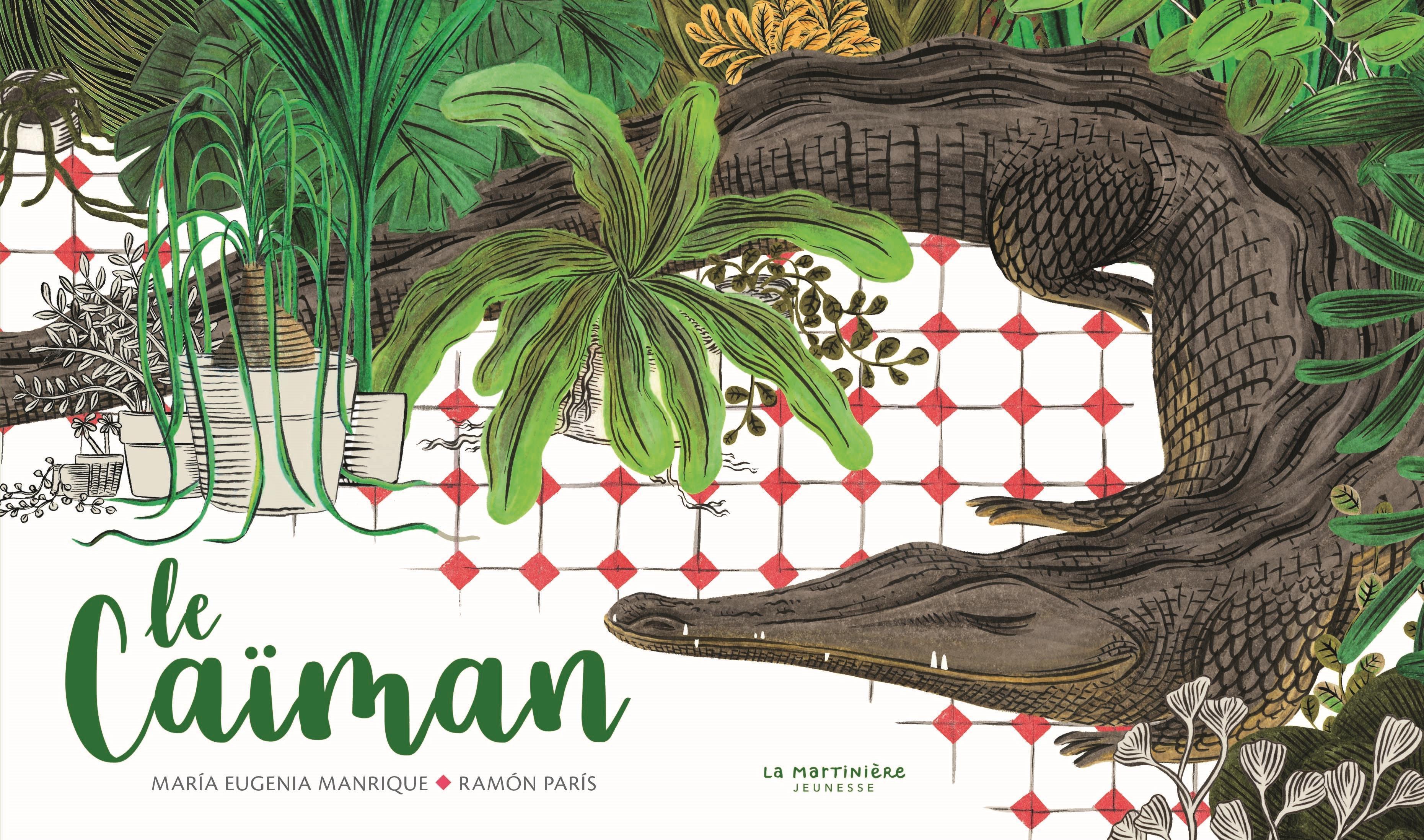 CAIMAN