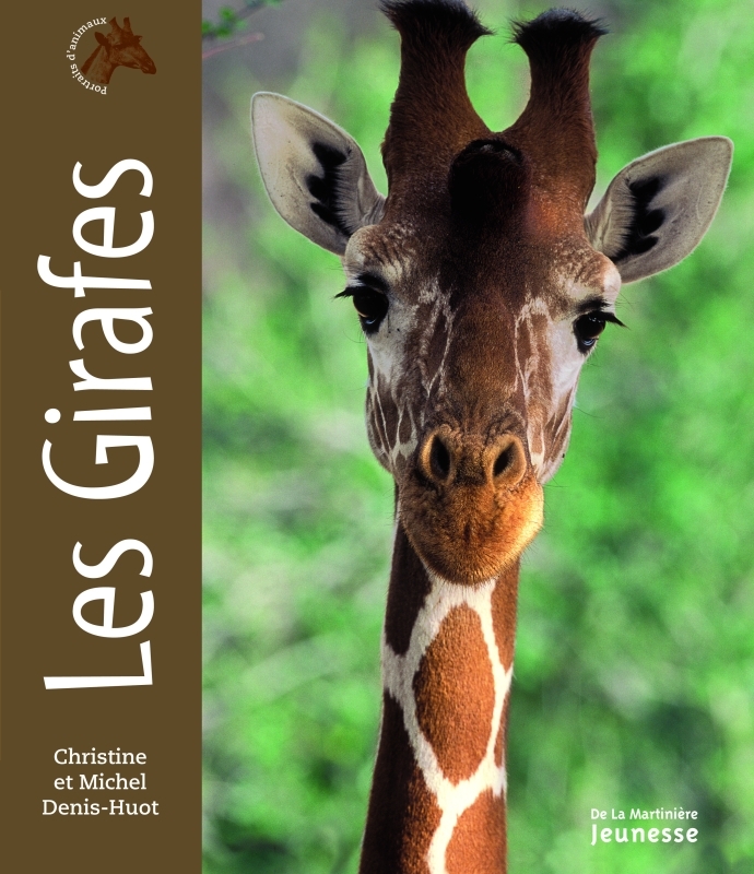 GIRAFES - PORTRAITS D´ANIMAUX