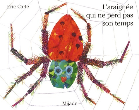 ARAIGNEE QUI NE PERD PAS SON TEMPS