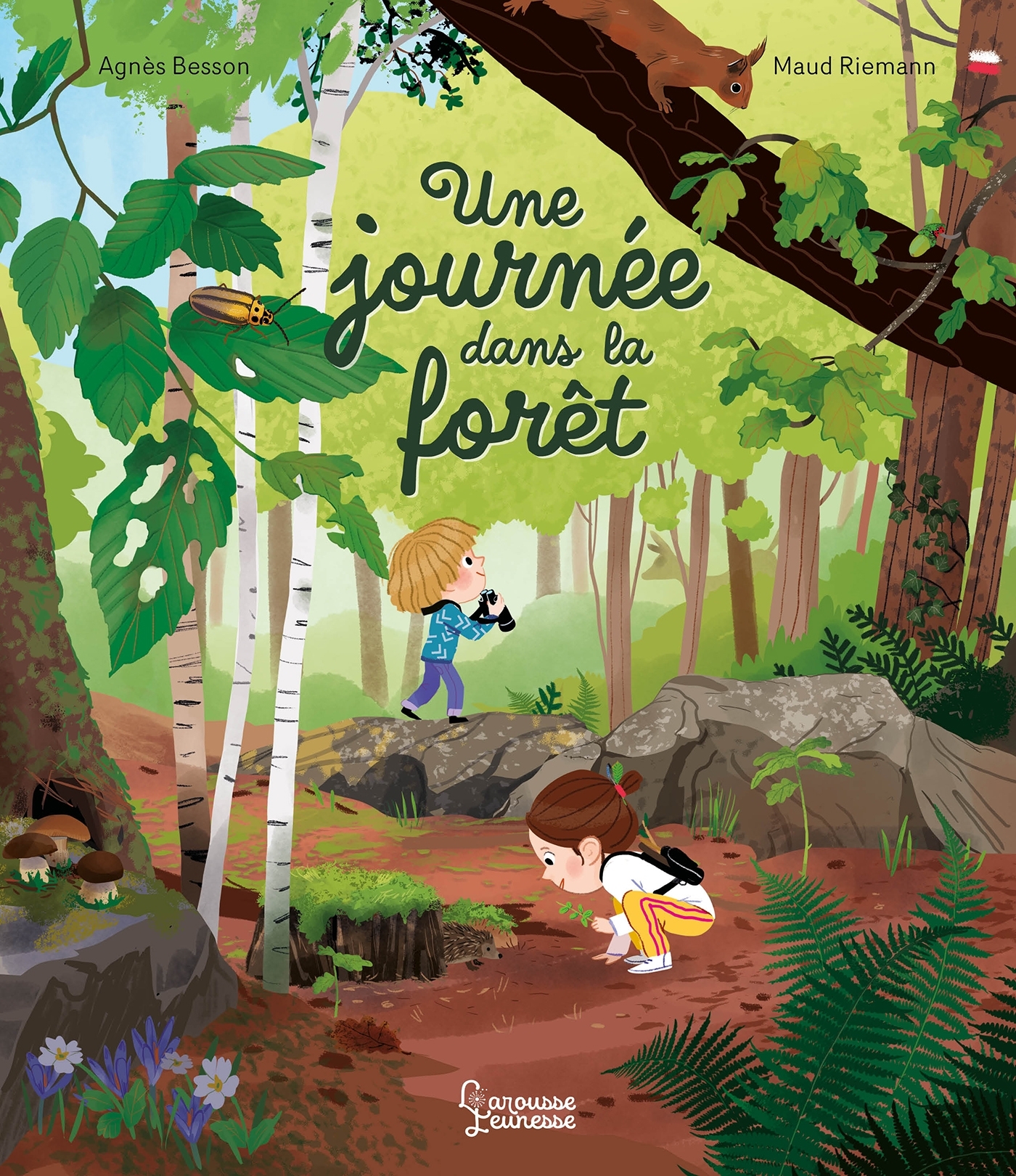 JOURNEE DANS LA FORET