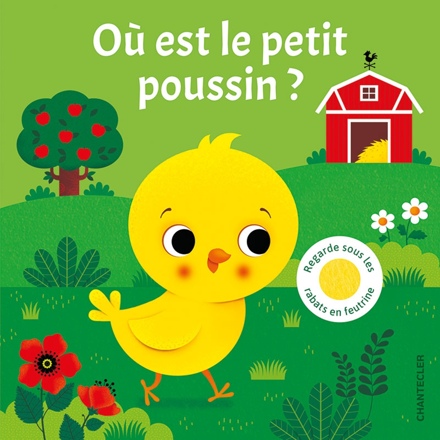 OU EST LE PETIT POUSSIN?