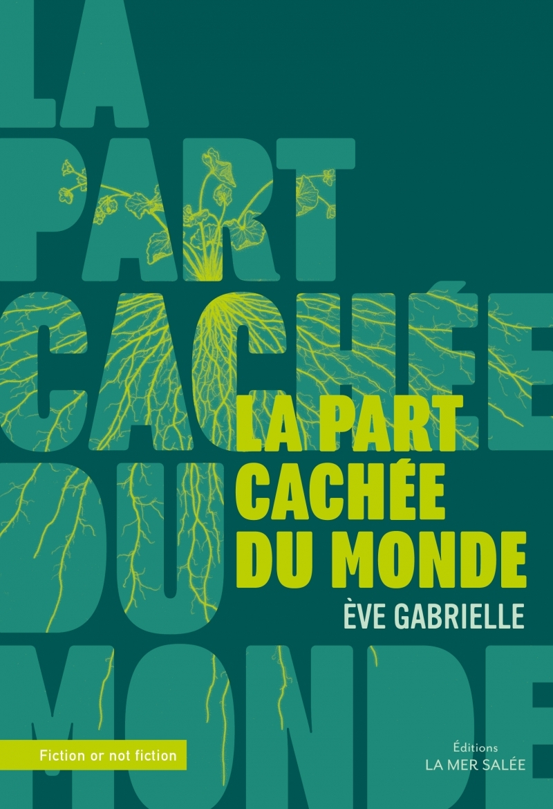 PART CACHEE DU MONDE