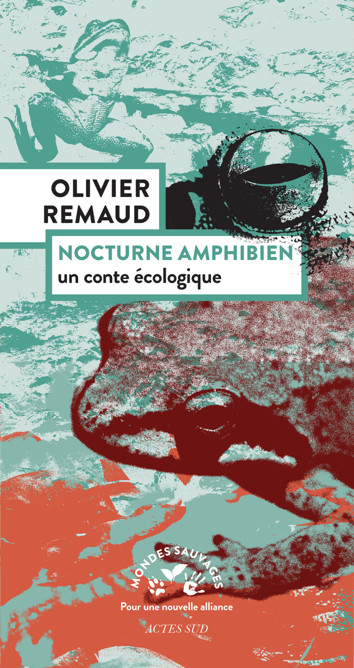NOCTURNE AMPHIBIEN - UN CONTE ECOLOGIQUE
